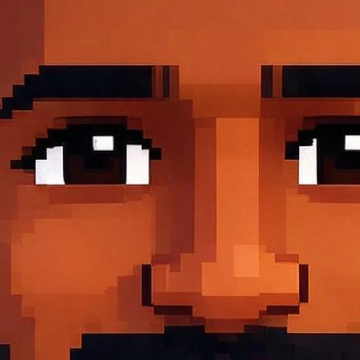 Close-up of pixel art eyes and a nose drawn with square pixels and dark one-pixel outlines