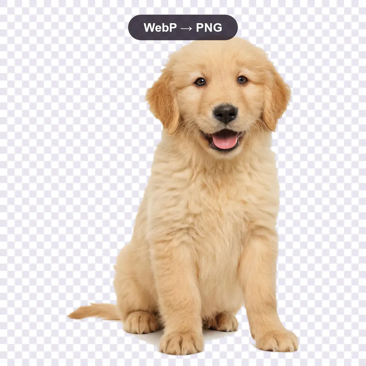 WebP para PNG