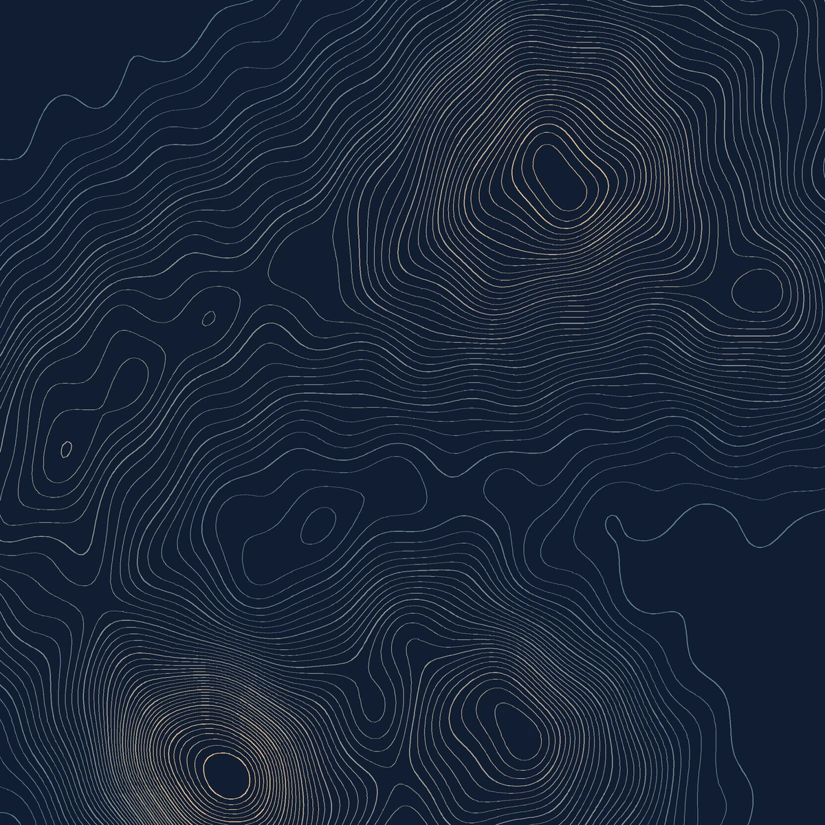 Fine contour lines trace a synthetic terrain field on a dark navy square