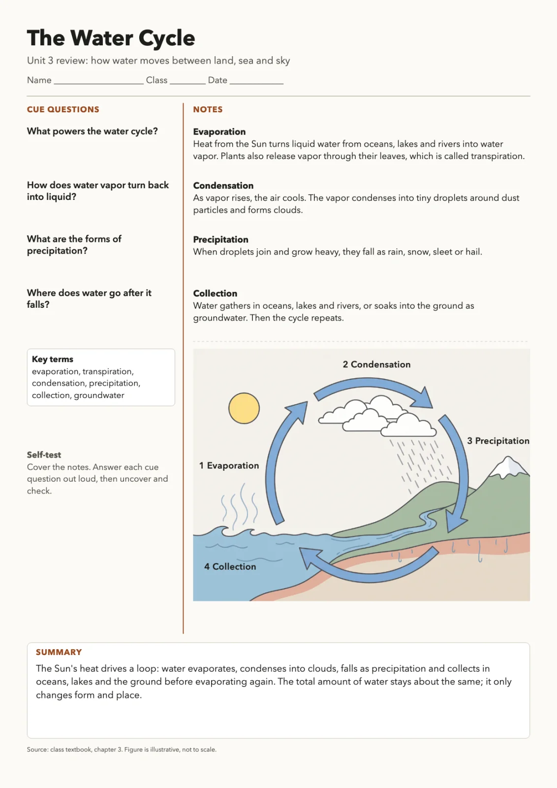 Cornell notes sheet titled The Water Cycle with cue questions, notes on evaporation, condensation, precipitation and collection, a labeled loop diagram and a summary box