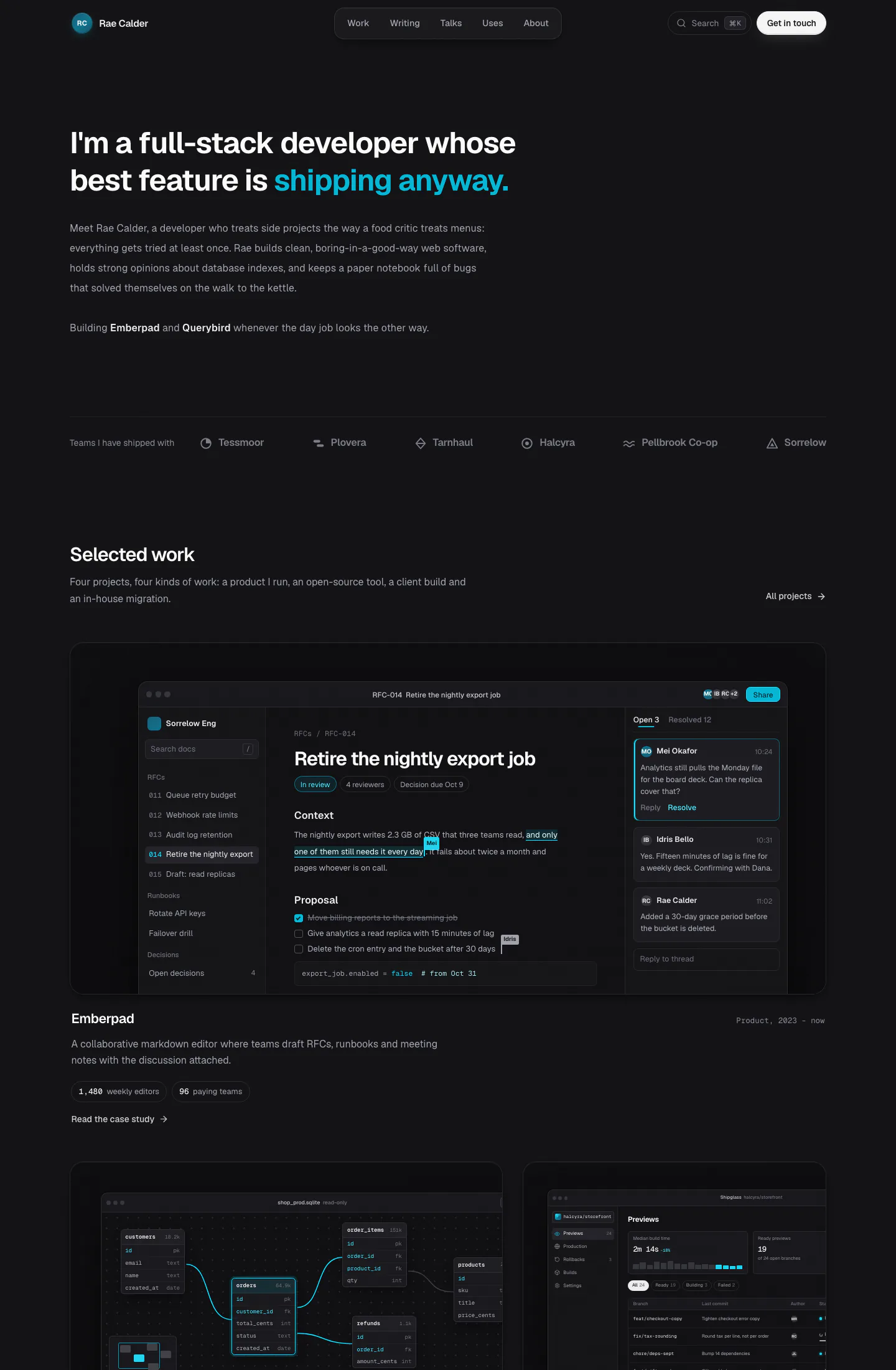 Developer Portfolio Website: full page