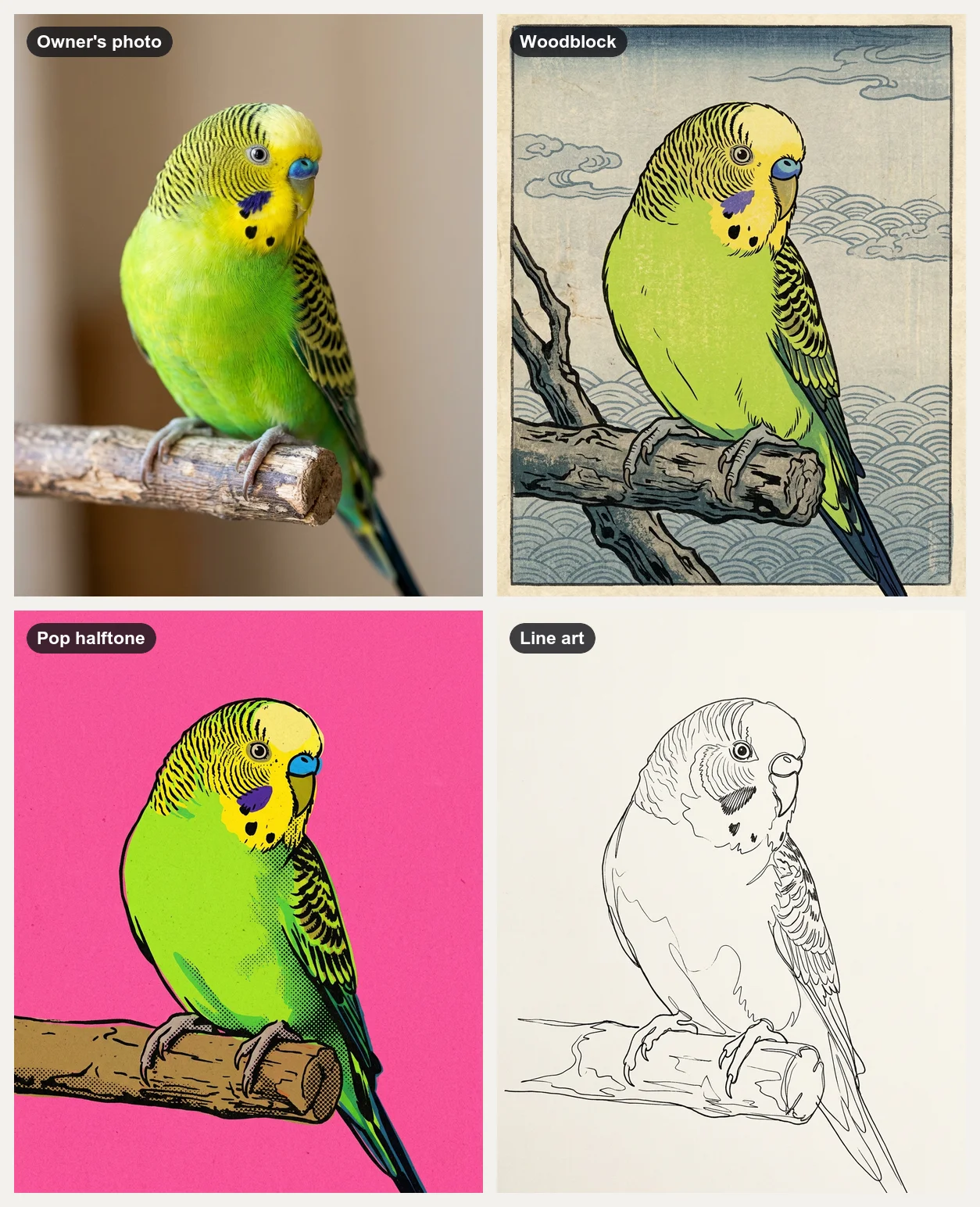 Photo of a fictional green budgie on a perch, the same bird as a woodblock print with cloud patterns, a pink pop-art halftone print and a single-line ink drawing