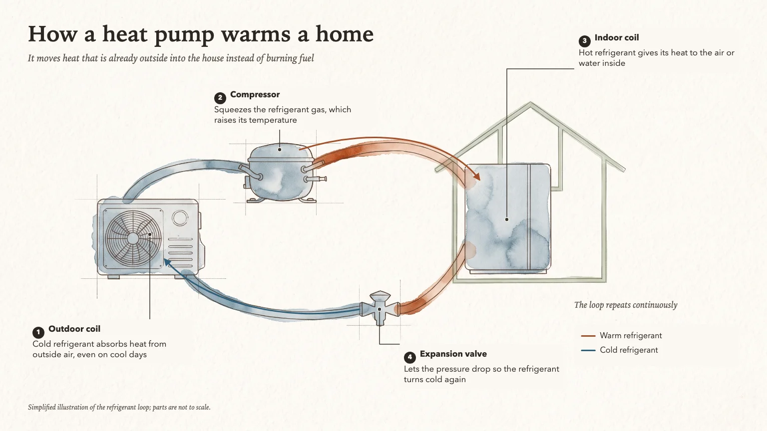 Watercolor diagram titled How a heat pump warms a home, outdoor unit, compressor, indoor unit and valve joined by warm and cool bands with four numbered callouts