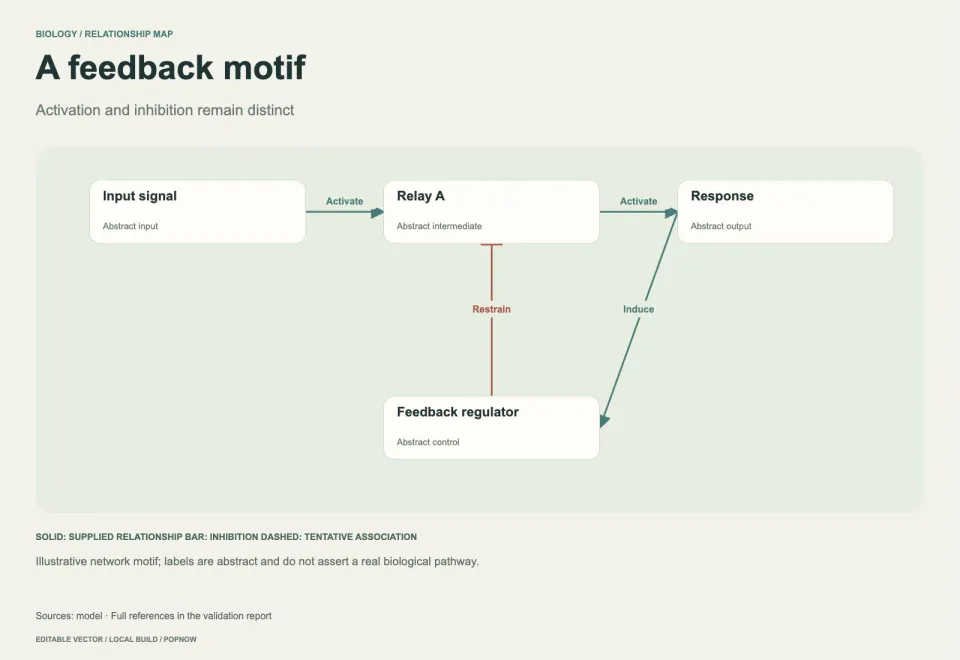 An abstract feedback motif distinguishing activation from inhibition — rendered editable SVG example