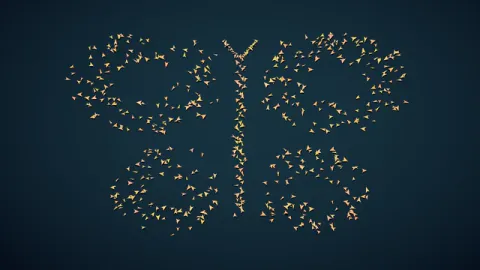 A flock settles into a butterfly silhouette with distinct wings and a central body. Original 8-second rendered example.