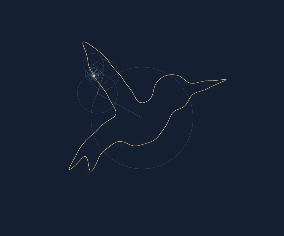 Reconstructed bird contour with Fourier epicycle circles