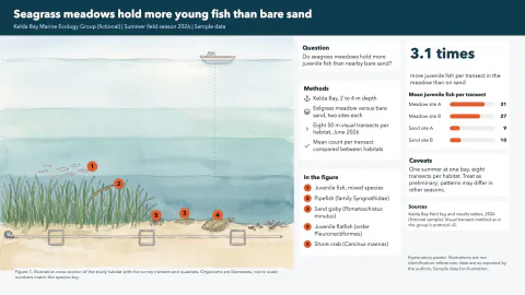 Marine Biology Poster: one study, three figure styles