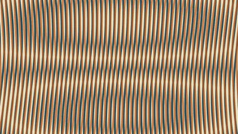Moiré Wave Motion — original rendered example