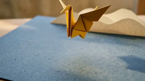 Origami Creature Awakening — original 5.6-second sample (five-second action plus a final hold)