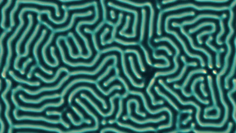 Reaction Diffusion Organism — original rendered example