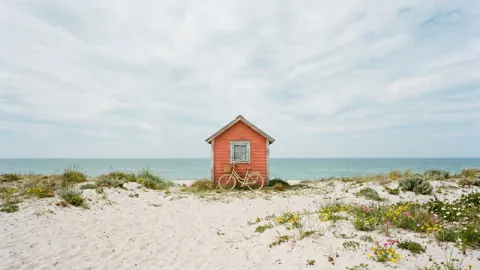 A coastal photograph becomes narrower through computed seam removal. Original 8-second rendered example.