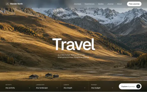 Travel Agency Website Template: preview