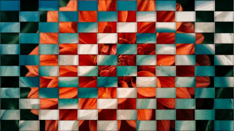 Woven Photo Transition — original rendered example